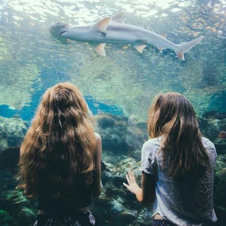 6686体育高级作者Eleanor