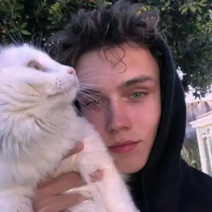 6686体育签约作者多少是真心