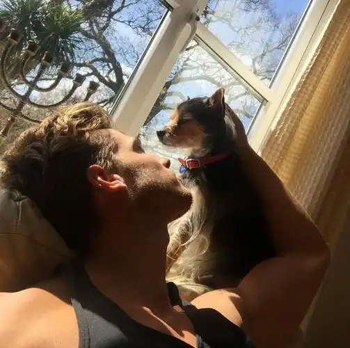 6686体育高级作者把酒临风