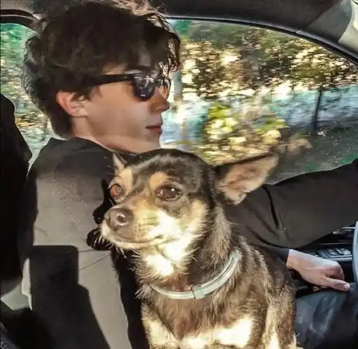 6686体育初级作者夢在遠方